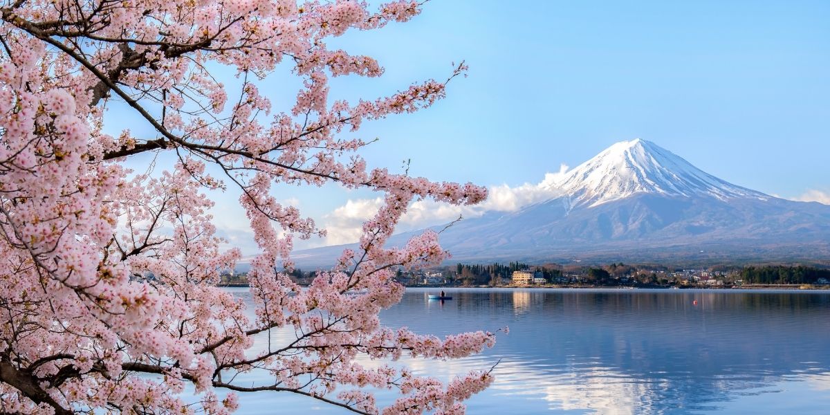 Japanese Walking: Why This 2007 Study Is Suddenly Everywhere